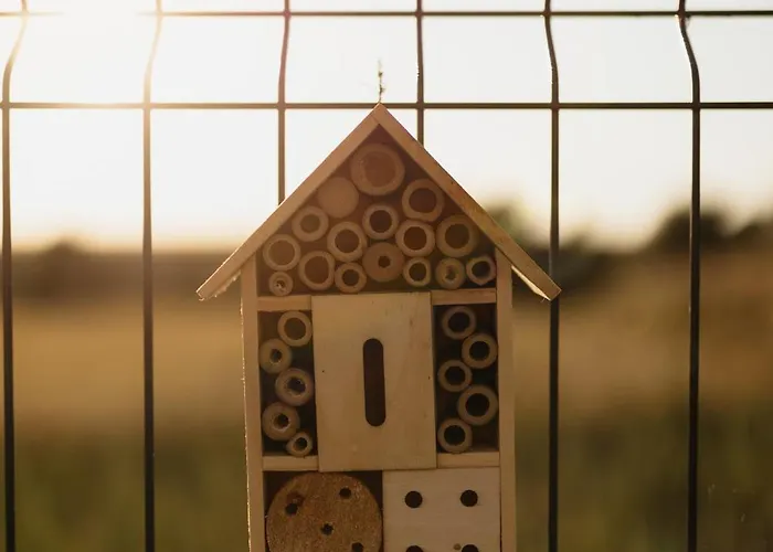 Na Lakach * Kudowa-Zdrój